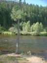 Река Хаим